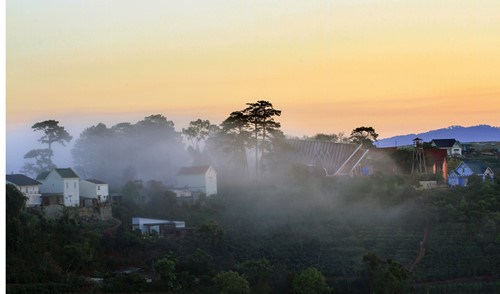Dalat among places to go in 2016 - Vietnam Visa
