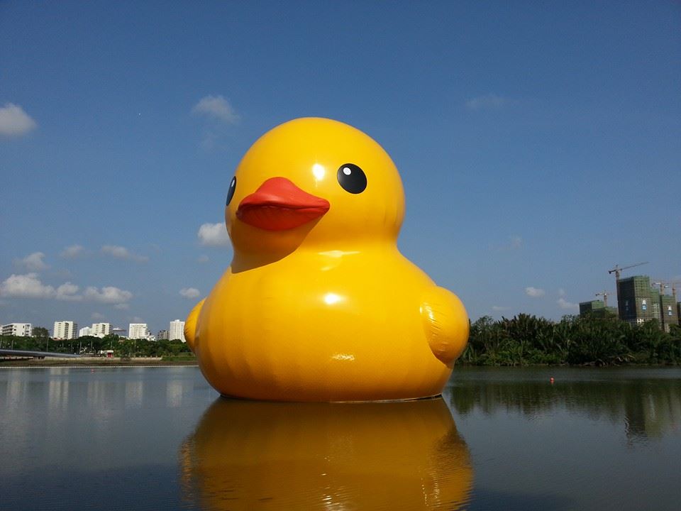 get a vietnam visa from Singapore - Giant rubber duck to HCMC-Vietnam