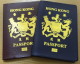 Vietnam visa for Hong Kong passport holders in Singapore